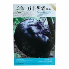 Round black eggplant seeds 300 seeds