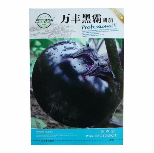 Round black eggplant seeds 300 seeds