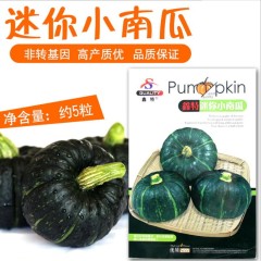 Mini round pumpkin seeds 5gram
