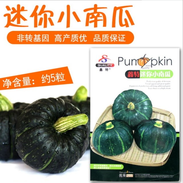 Mini round pumpkin seeds 5gram