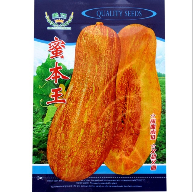 Giant pumpkin seeds 5 gram