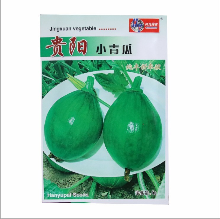smooth pumpkin seeds 10 seeds