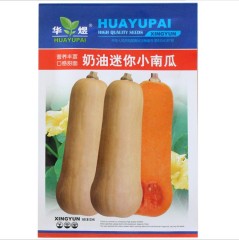 Mini pumpkin seeds 30 seeds