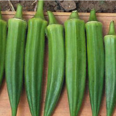 green okra seeds 10gram/bags for planting
