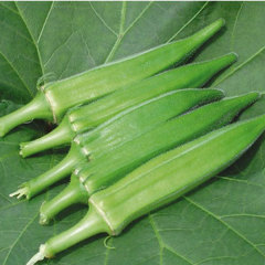 green okra seeds 10gram/bags for planting