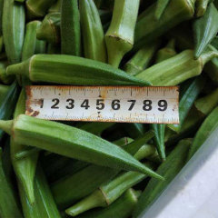 heirloom okra seeds for planting