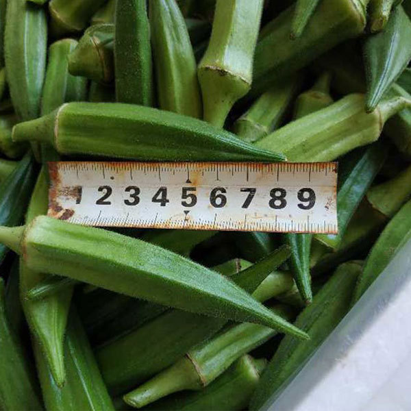 heirloom okra seeds for planting