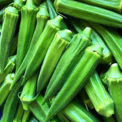 cowhorn okra seeds 80 seeds/bags for sales