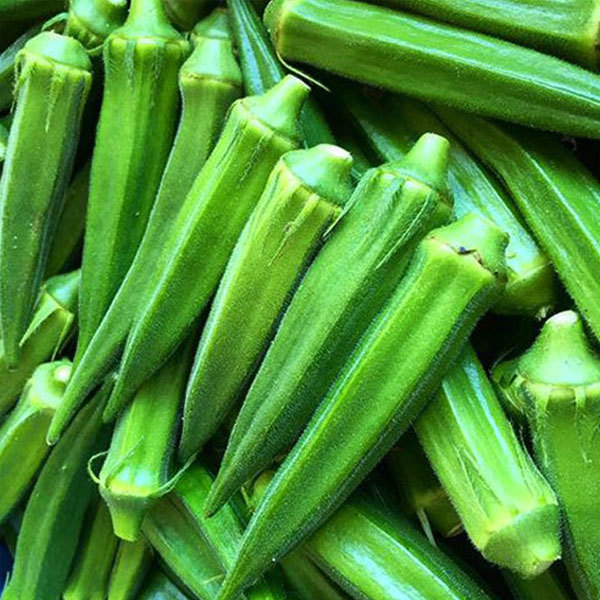 cowhorn okra seeds 80 seeds/bags for sales
