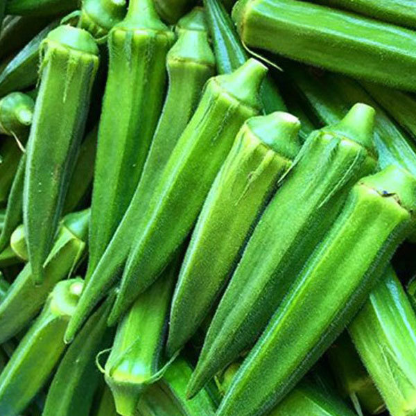 green okra seeds 10gram/bags for planting