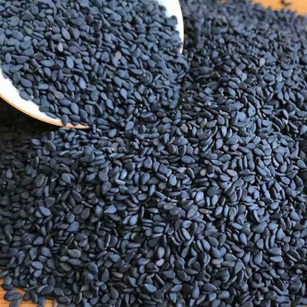 raw sesame seeds for planting 150gram/bags