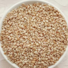 25gram sesame seeds for growing