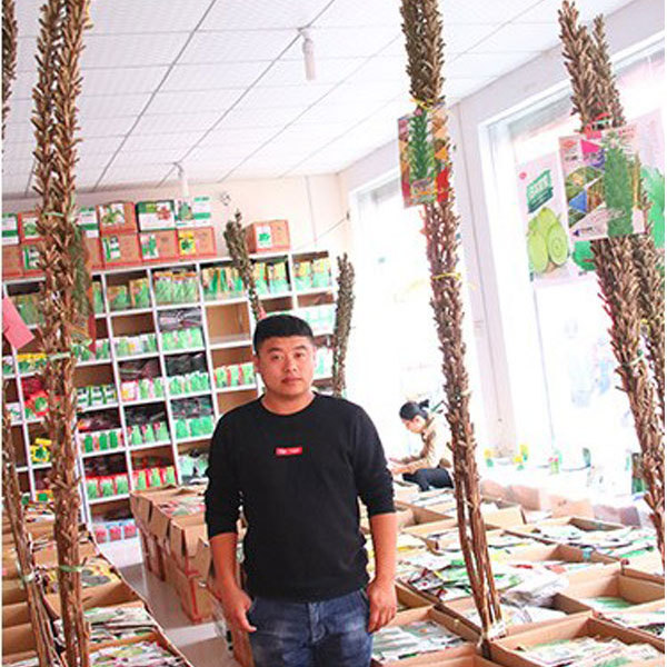 black sesame seeds 500gram/bags for planting