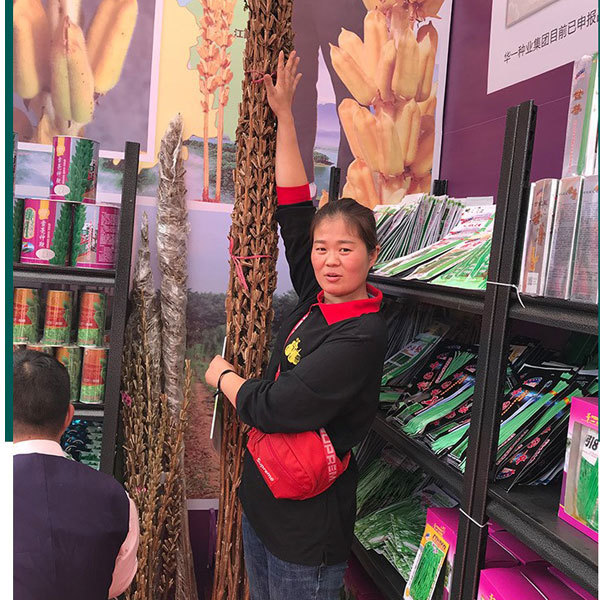 25gram/bags sesame seed flower