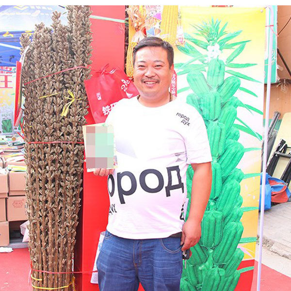 black sesame seeds 500gram/bags for planting