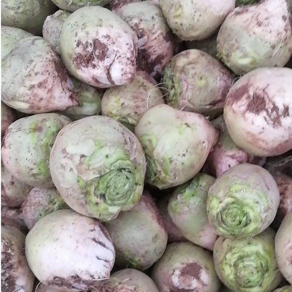 mustard seed wholesale 1kg/bags