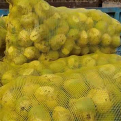 broad leaf mustard seed