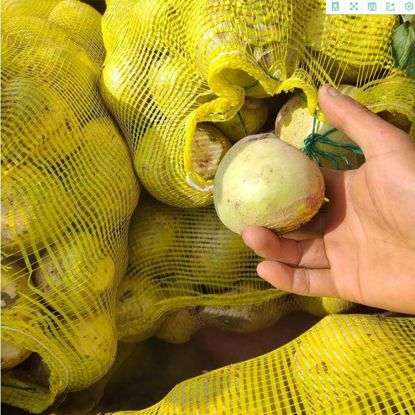 broad leaf mustard seed