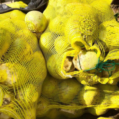 broad leaf mustard seed