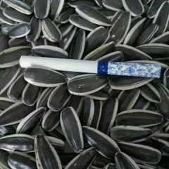 bulk sunflower seeds 20gram/bags for planting