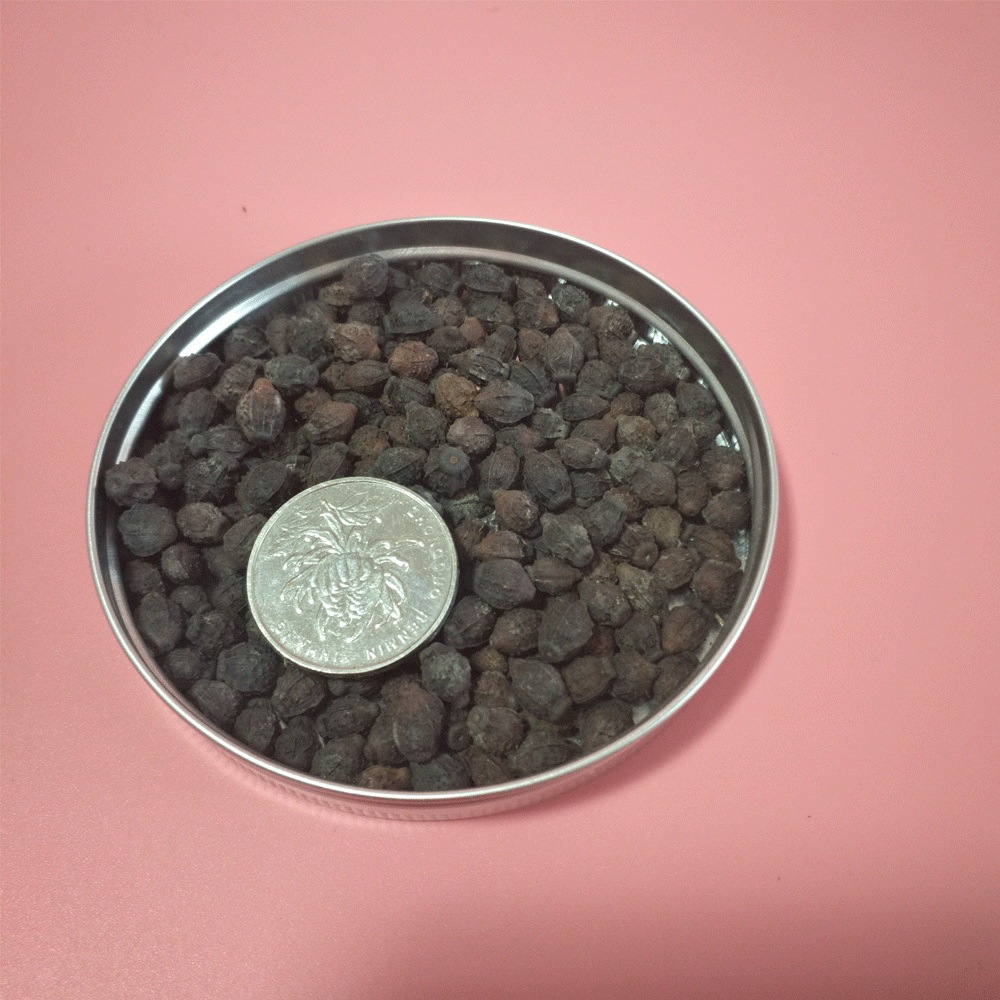 Mirabilis jalapa seeds 1kg