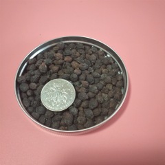 Mirabilis jalapa seeds 1kg