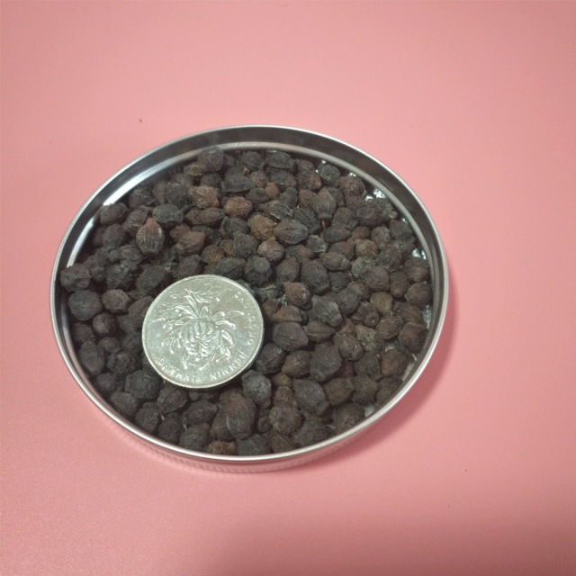 Mirabilis jalapa seeds 1kg