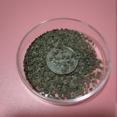 Annual phlox seeds 1KG