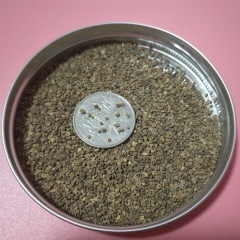 Bassia scoparia seeds/kochia seeds 1kg