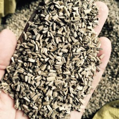 perennial coreopsis seeds 1kg