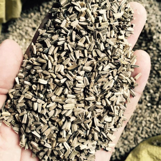 perennial coreopsis seeds 1kg