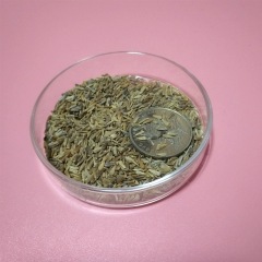 Callistephus chinensis seeds 1kg