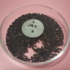 Delphinium ajacis seeds 1kg