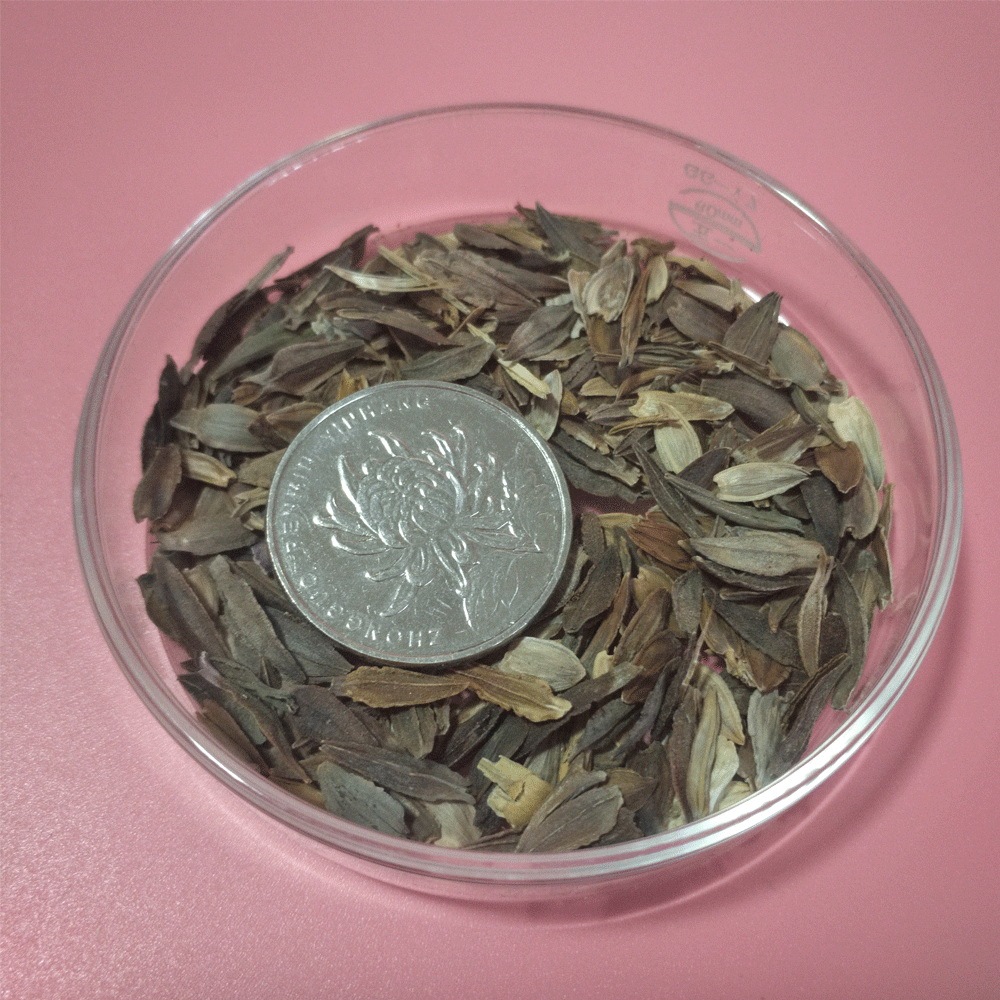 Zinnia seeds 1kg