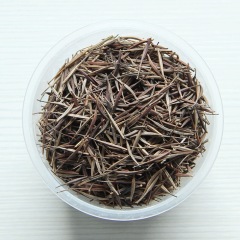 Dwarf Cosmos sulphureus seeds 1KG