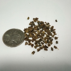 Chrysanthemum coronarium seeds 1KG