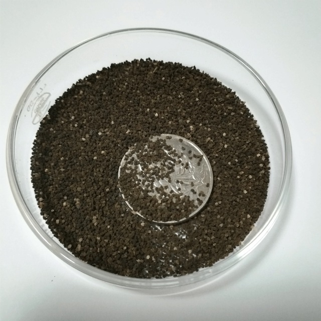 Antirrhinum majus seeds 1kg