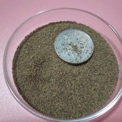 Digitalis purpurea seeds 1KG