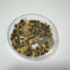Hollyhock seeds 1kg