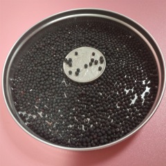 babysbreath seeds 1KG