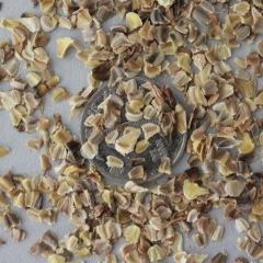 Chrysanthemum carinatum seeds 1kg