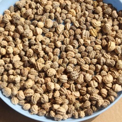 Tropaeolum majus seeds 1kg