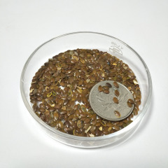 Linum perenne seeds 1KG