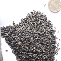 Heliopsis helianthoides seeds 1kg