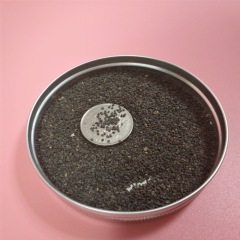 Aubrieta deltoidea seeds 1KG