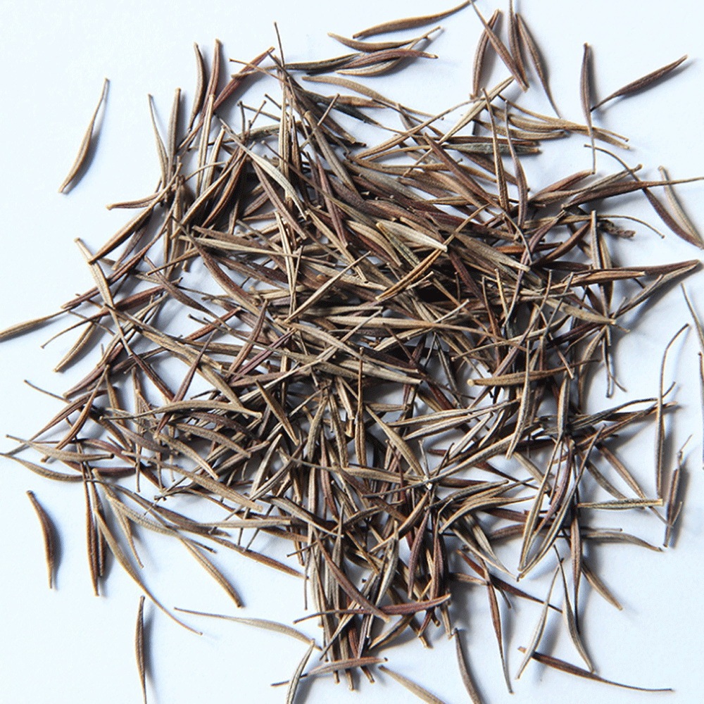 Tall Cosmos sulphurens seeds 1KG