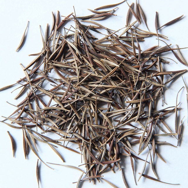 Tall Cosmos sulphurens seeds 1KG