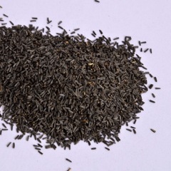 Rudbeckia hirta Gloriosa seeds 1kg