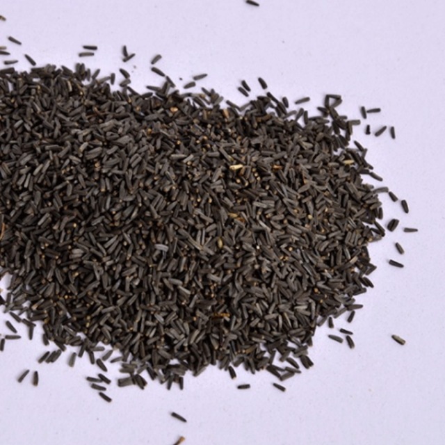 Rudbeckia hirta Gloriosa seeds 1kg