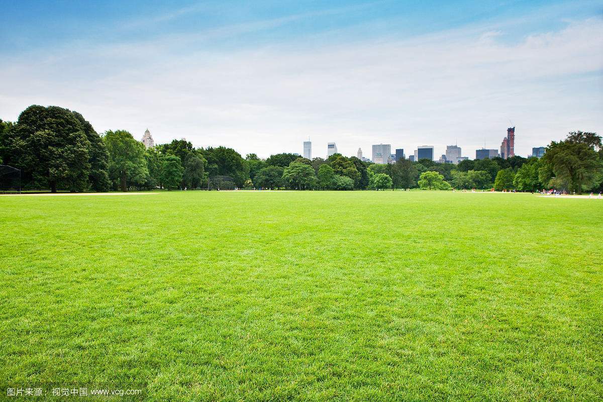 Mix lawn grass seeds